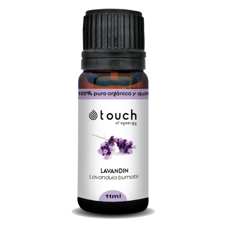 Lavandín 11 ml - Lavandin (Lavandula burnatii)