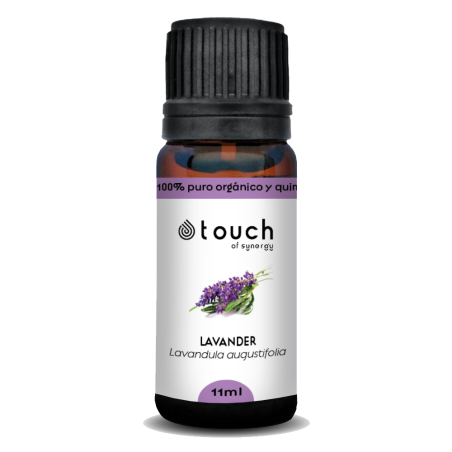 Lavanda fina 11 ml - True Lavender (Lavandula augustifolia)
