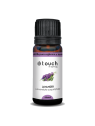 Lavanda fina 11 ml - True Lavender (Lavandula augustifolia)