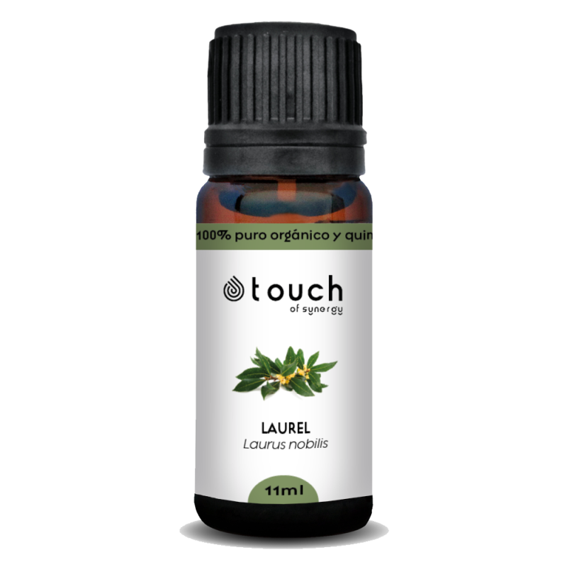 Laurel noble 11 ml - Laurel (Laurus nobilis)