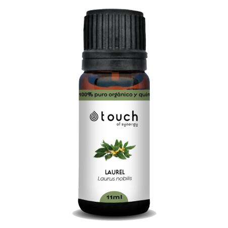 Laurel noble 11 ml - Laurel (Laurus nobilis)