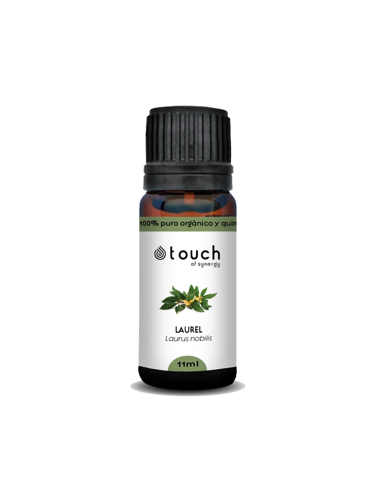 Laurel noble 11 ml - Laurel (Laurus nobilis)