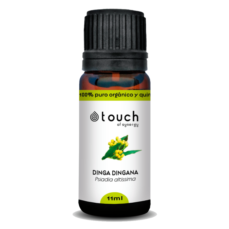 Lary 11 ml - Dinga Dingana (Psiadia altissima)