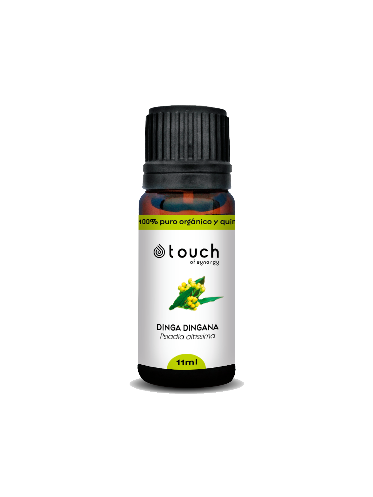 Katrafay 11 ml - Katrafay (Cedrelopsis grevei)