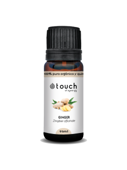Jengibre 11 ml - Ginger (Zingiber officinale)