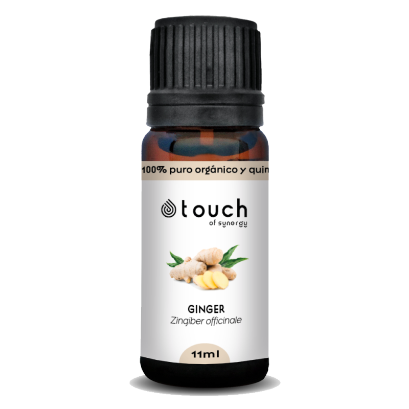 Jengibre 11 ml - Ginger (Zingiber officinale)