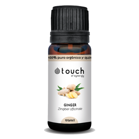 Jengibre 11 ml - Ginger (Zingiber officinale)