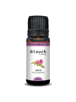 Jara pringosa 11 ml - Cistus (Cistus ladaniferus)