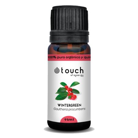 Gaulteria 11 ml - Wintergreen (Gaultheria procumbens)