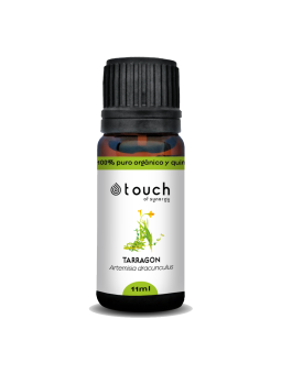 Estragón 11 ml - Tarragon (Artemisia dracunculus)