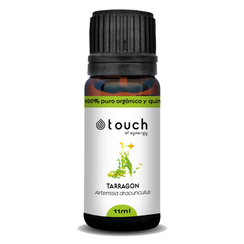 Estragón 11 ml - Tarragon (Artemisia dracunculus)