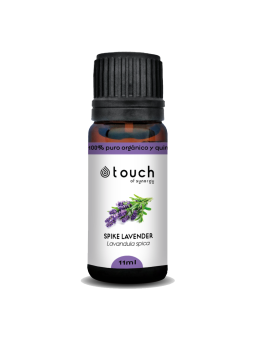 Espliego macho 11 ml - Spike Lavender  (Lavandula latifolia)