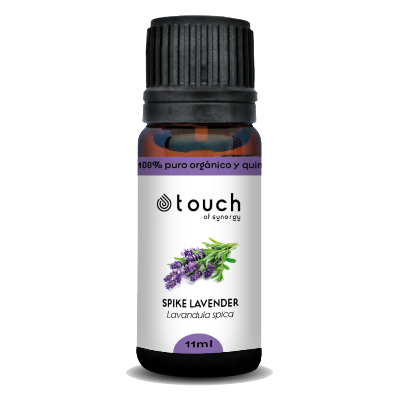Espliego macho 11 ml - Spike Lavender  (Lavandula latifolia)