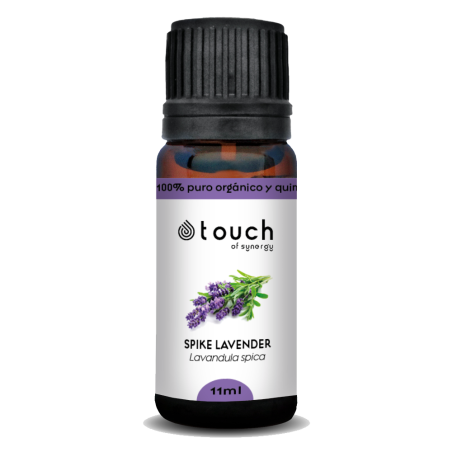 Espliego macho 11 ml - Spike Lavender  (Lavandula latifolia)