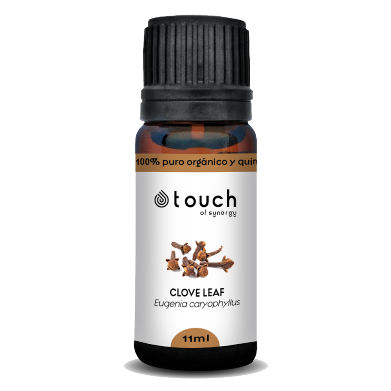 Clavo de olor 11 ml - Clove leaf (Eugenia caryophyllus)