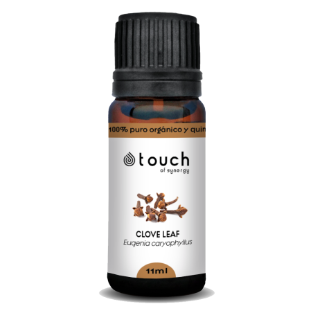 Clavo de olor 11 ml - Clove leaf (Eugenia caryophyllus)