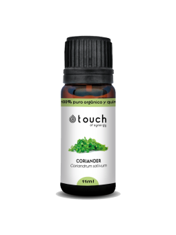 Cilantro 11 ml. - Coriander (Coriandrum sativum)