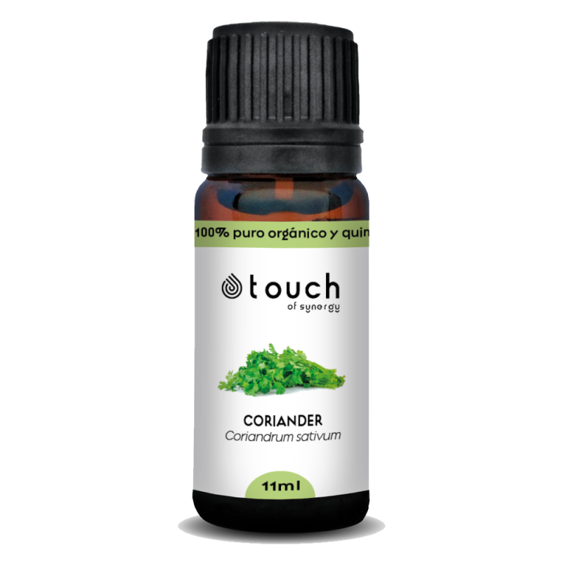 Cilantro 11 ml. - Coriander (Coriandrum sativum)