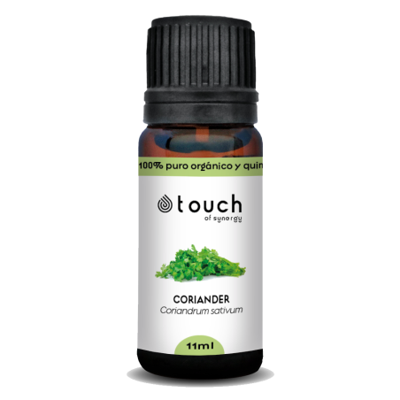 Cilantro 11 ml. - Coriander (Coriandrum sativum)