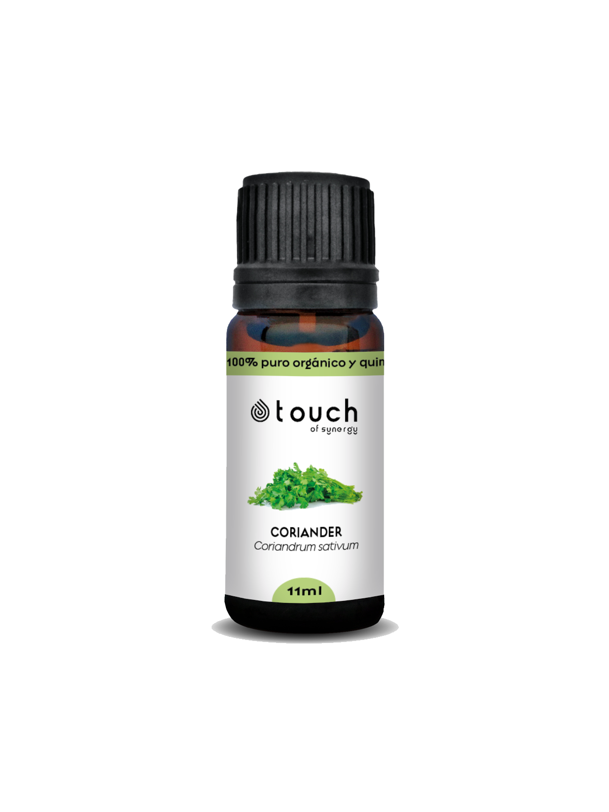 Cilantro 11 ml. - Coriander (Coriandrum sativum)