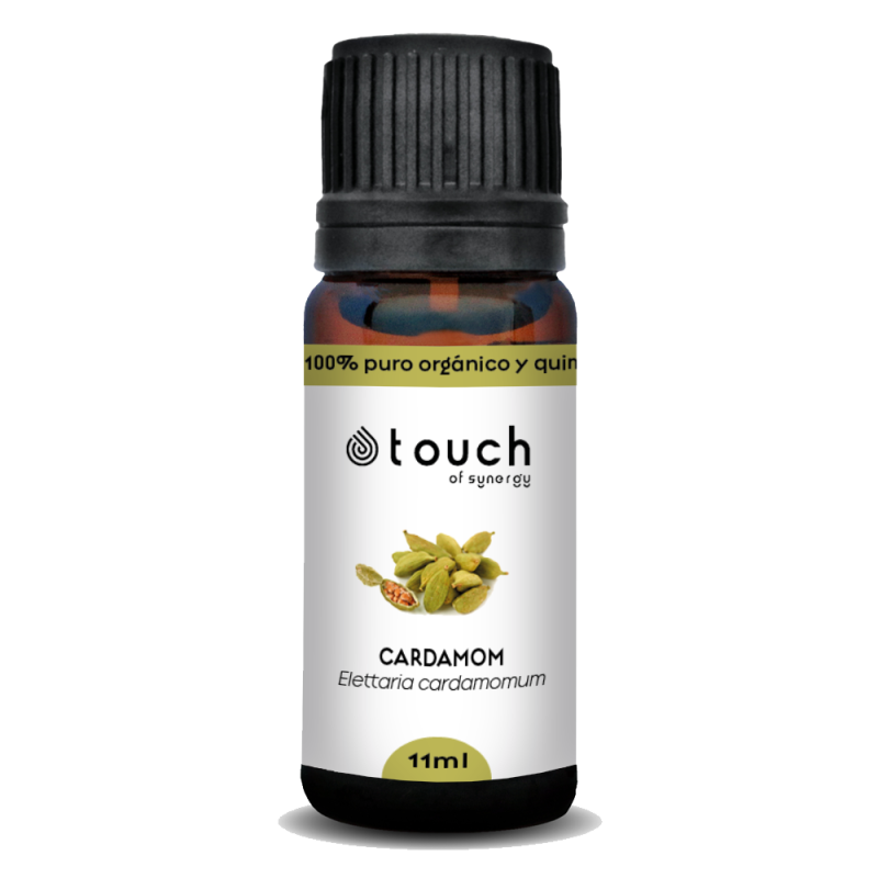 Cardamomo 11 ml - Cardamom (Elettaria cardamomum)