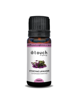 Cantueso 11 ml - Stoechas Lavander (Lavandula Stoechas)