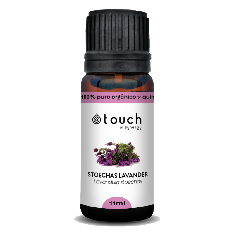 Cantueso 11 ml - Stoechas Lavander (Lavandula Stoechas)
