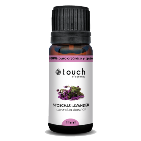 Cantueso 11 ml - Stoechas Lavander (Lavandula Stoechas)