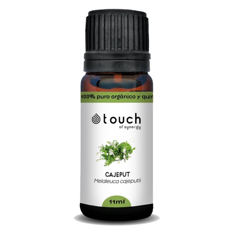Cajeput 11 ml - Cajeput (Melaleuca Cajeputii)