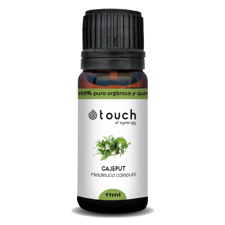 Cajeput 11 ml - Cajeput (Melaleuca Cajeputii)