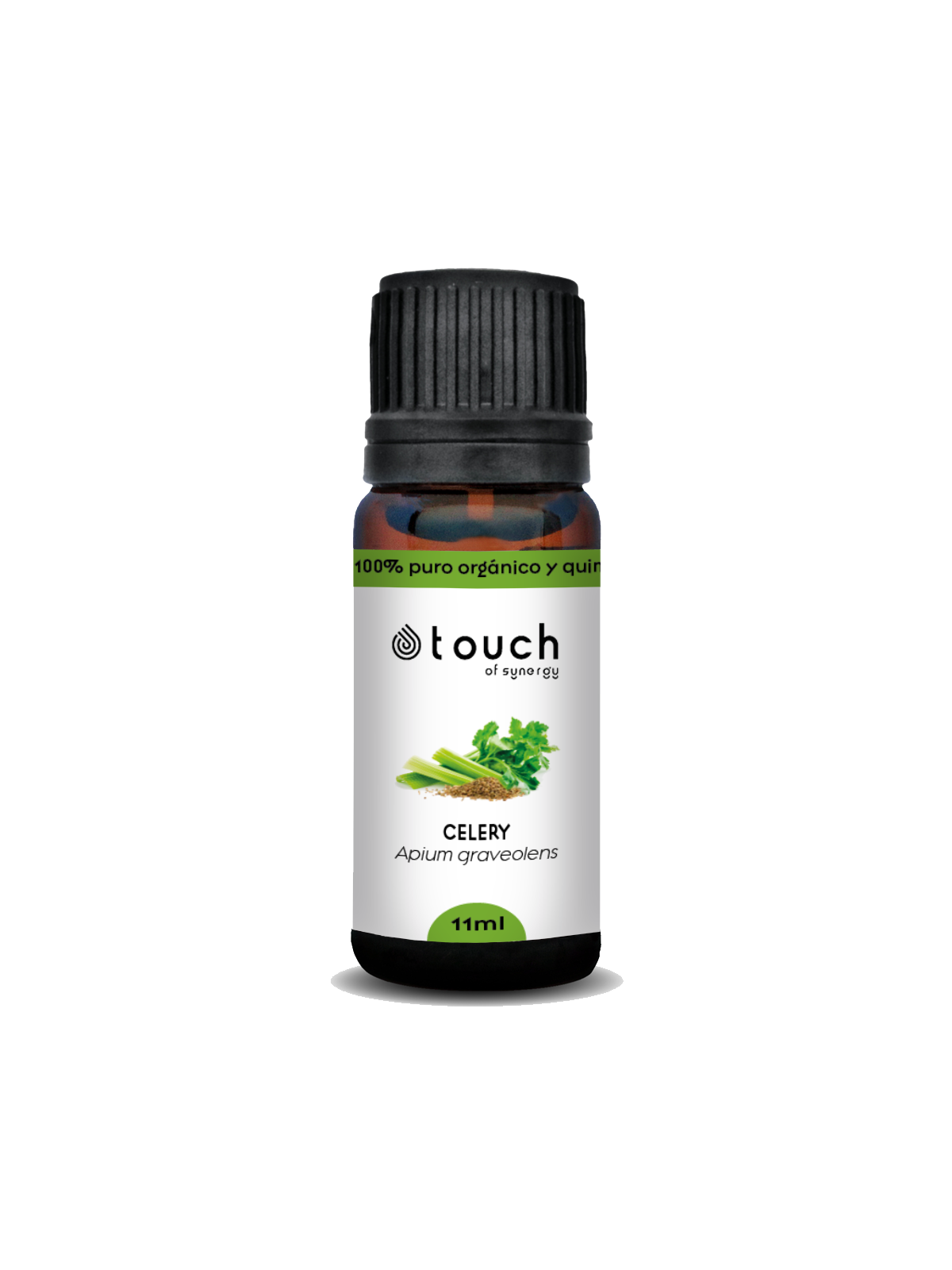 Apio 11 ml - Celery (Apium graveolens)