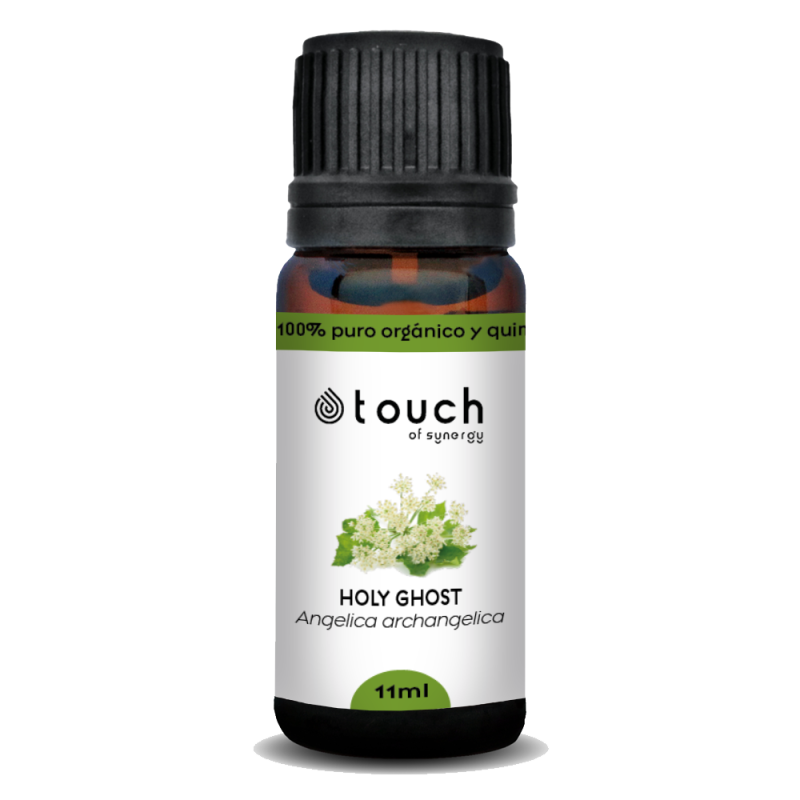Angélica flor 11 ml - Holy Ghost Flower (Angelica archangelica)