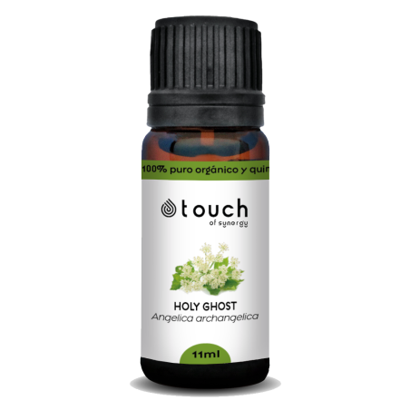 Angélica flor 11 ml - Holy Ghost Flower (Angelica archangelica)