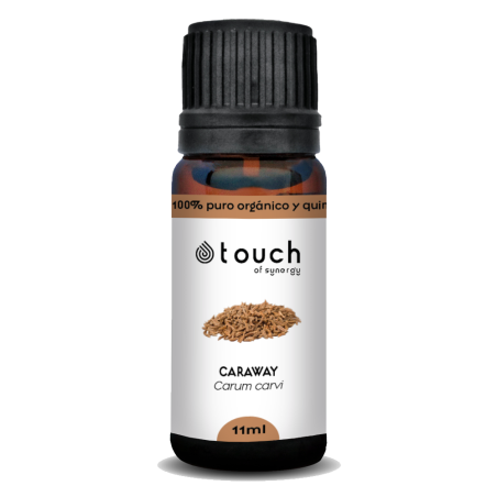 Alcaravea 11 ml - Caraway (Carum carvi)