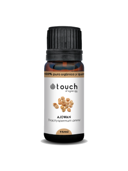 Ajowan 11 ml - Ajowan (Trachyspermum ammi)