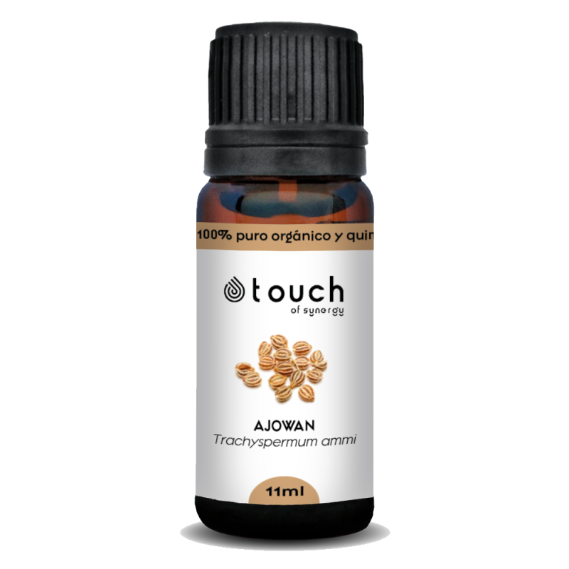 Ajowan 11 ml - Ajowan (Trachyspermum ammi)