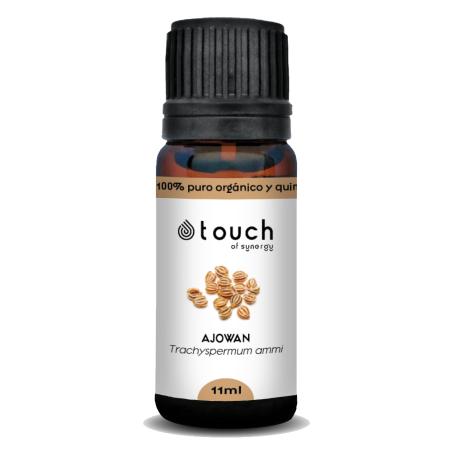 Ajowan 11 ml - Ajowan (Trachyspermum ammi)