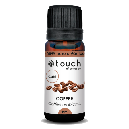 Cafe 11 ml (Coffee arabica L)