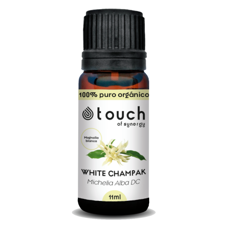 Magnolia blanca 11 ml - White Champak (Michelia Alba DC)