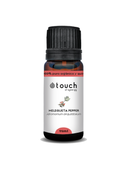 Pimiento melegueta 11 ml - Melegueta Pepper (Afromomum angustifolium)