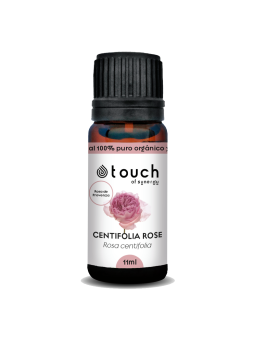 Rosa centifolia 11 ml - Centifolia Rose (Rosa de Provenza)