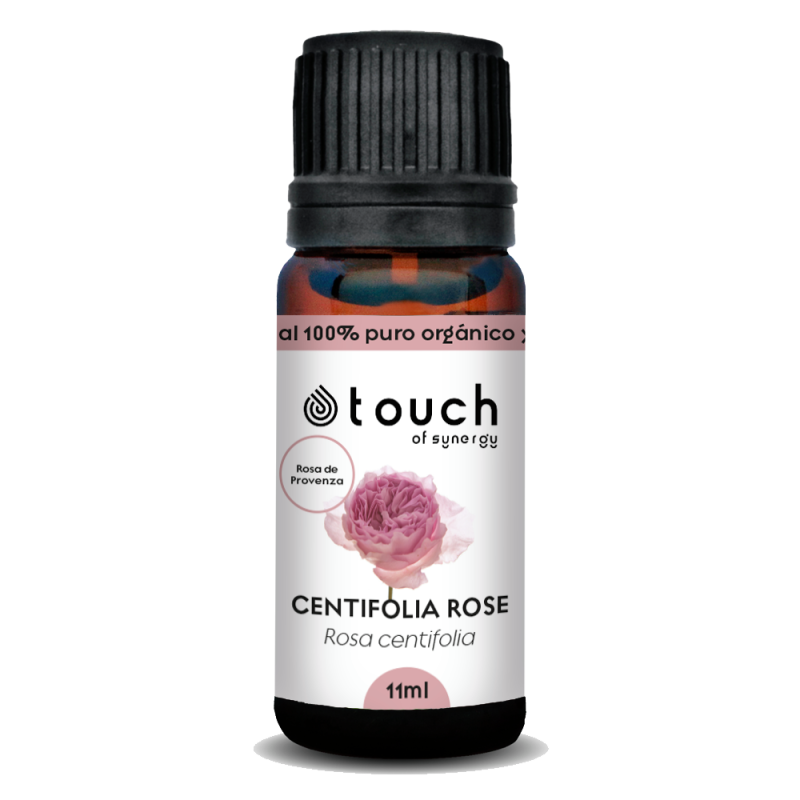 Rosa centifolia 11 ml - Centifolia Rose (Rosa de Provenza)