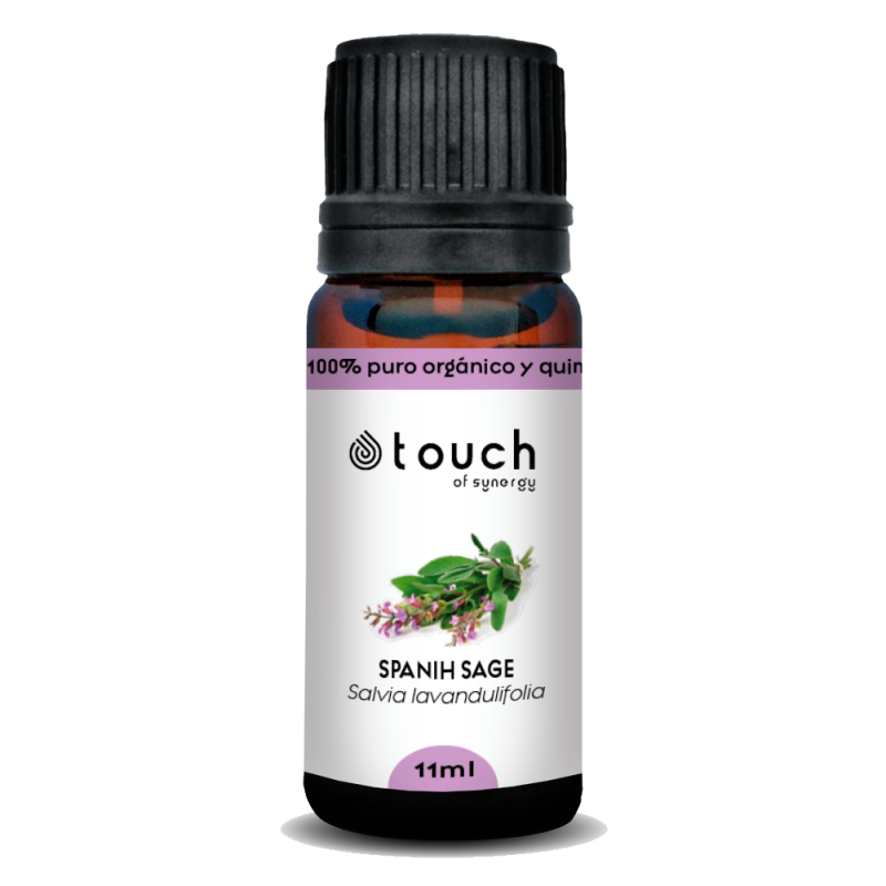Salvia española 11 ml - Spanish Sage (Salvia lavandulifolia)