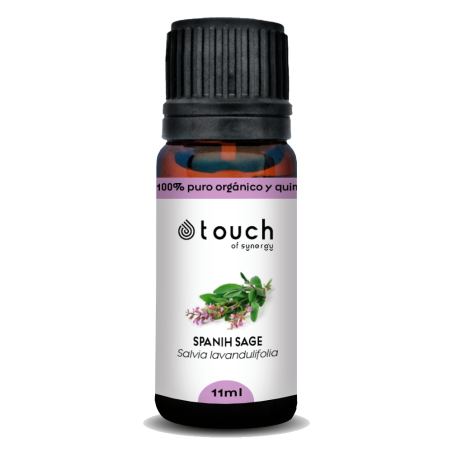 Salvia española 11 ml - Spanish Sage (Salvia lavandulifolia)