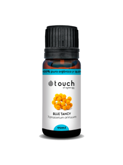 Tanaceto Azul 11 ml - Blue Tancy (Tanacetum annuum)