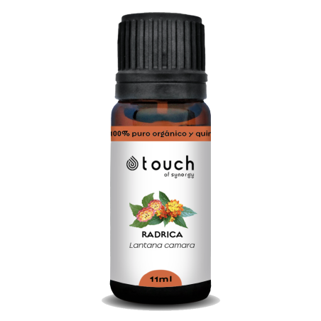 Lantana 11 ml - Radrica (Lantana camara)