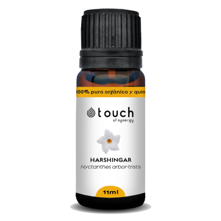 Jazmín de Noche 11 ml - Harshingar o Paarijat (Nyctanthes arbor-tristis)