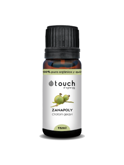 Croton Zanopoli 11 ml - Zanapoly (Croton geayi)