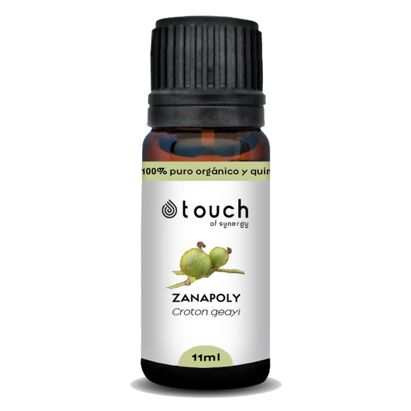 Croton Zanopoli 11 ml - Zanapoly (Croton geayi)