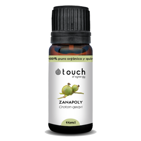 Croton Zanopoli 11 ml - Zanapoly (Croton geayi)